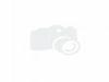 Wedding Specials 901 E Arctic Folly Beach Rental